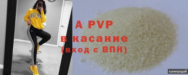 шишки Балахна