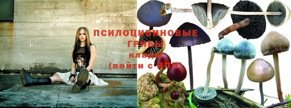 шишки Балахна