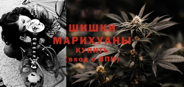 шишки Балахна