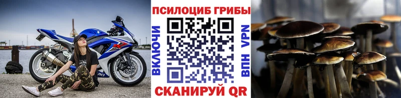 Галлюциногенные грибы мухоморы  MEGA ONION  Судогда 