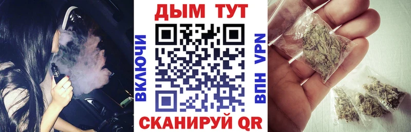 купить наркотики цена  ссылка на мегу зеркало  Марихуана планчик  Судогда 